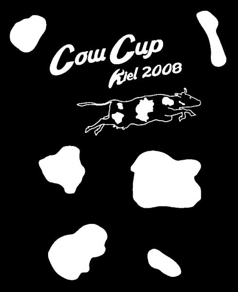 T-Shirt-Foto Förde-CUP 2008